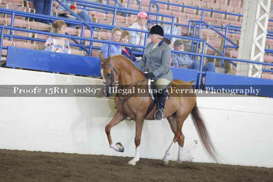 Proof 15R11_00897