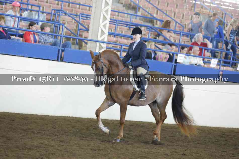 Proof 15R11_00899
