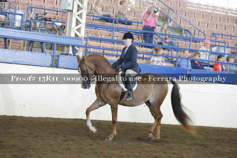 Proof 15R11_00900