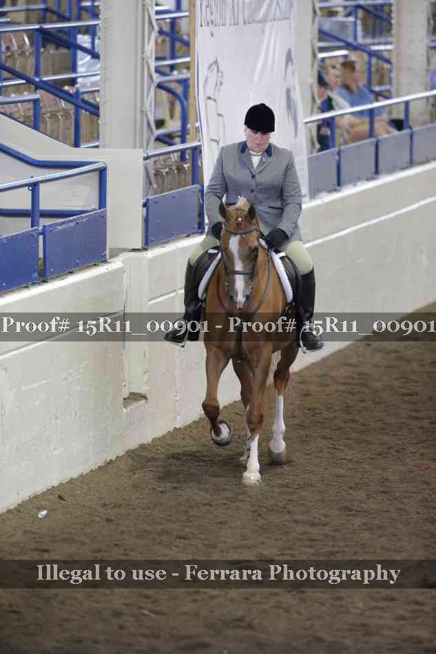 Proof 15R11_00901