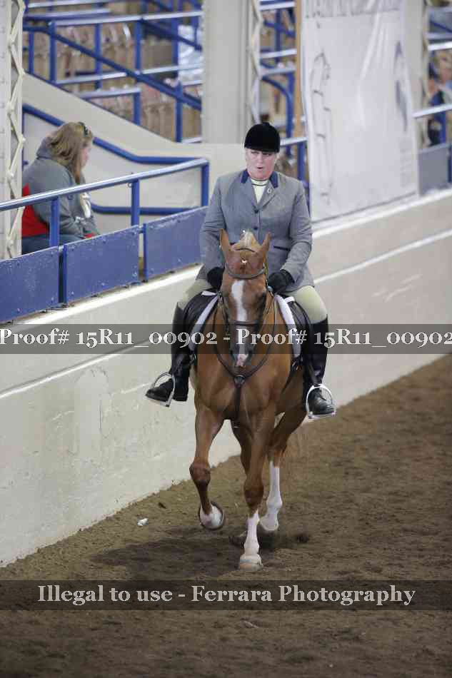 Proof 15R11_00902
