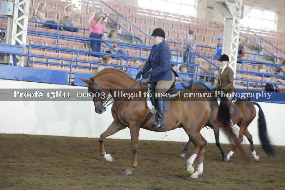 Proof 15R11_00903