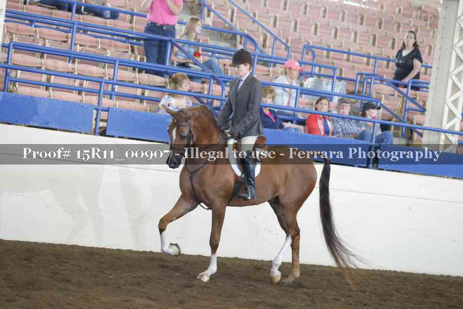 Proof 15R11_00907