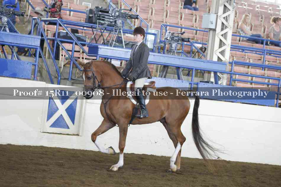 Proof 15R11_00908