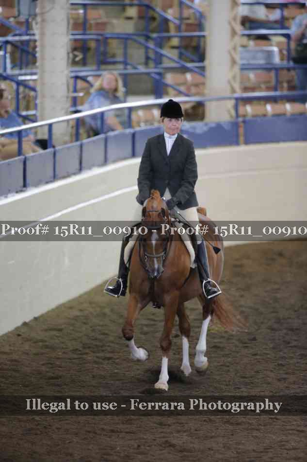Proof 15R11_00910