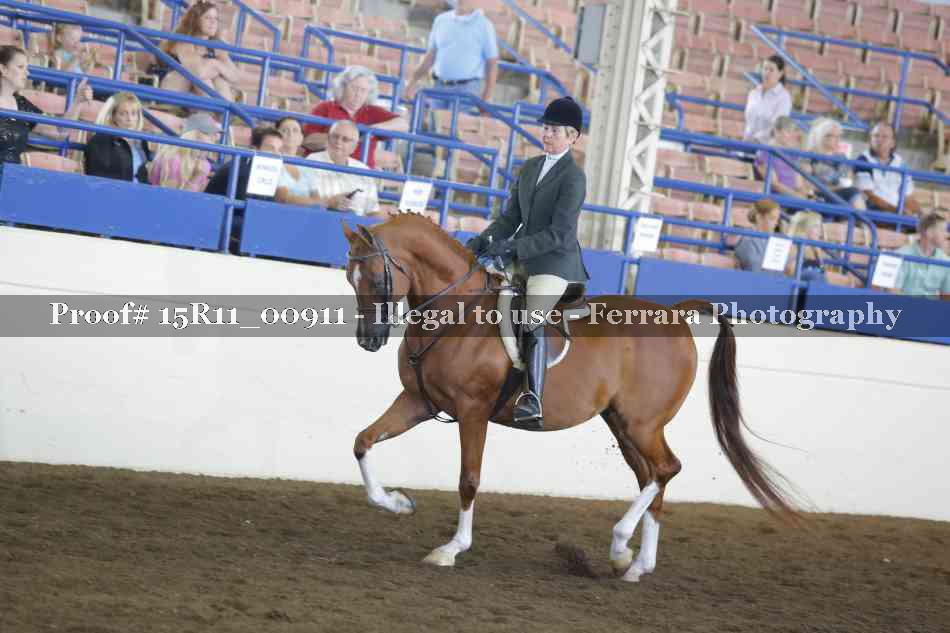 Proof 15R11_00911