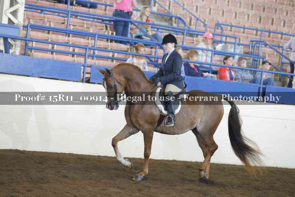 Proof 15R11_00914
