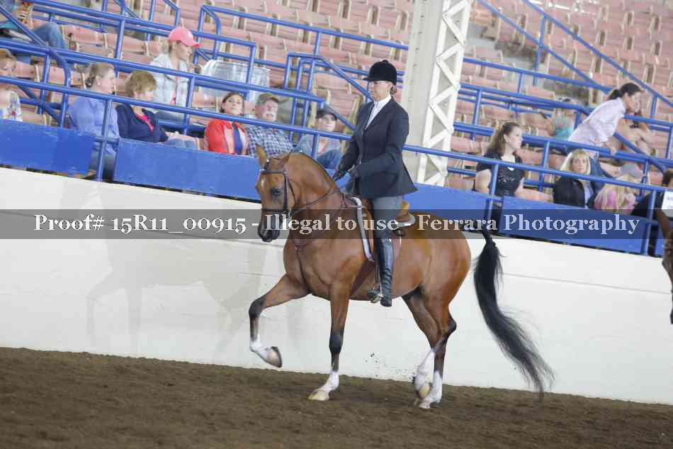 Proof 15R11_00915