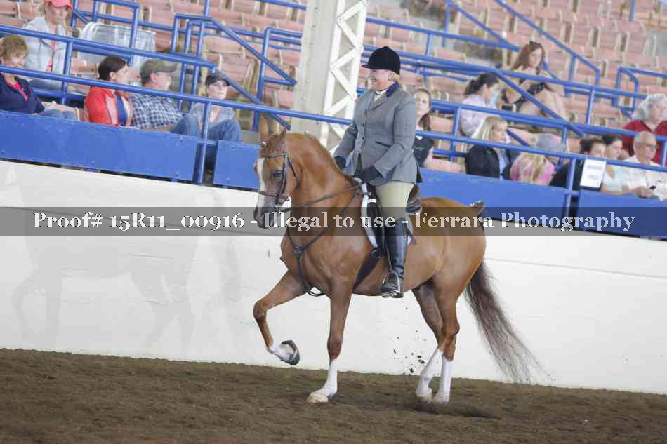 Proof 15R11_00916