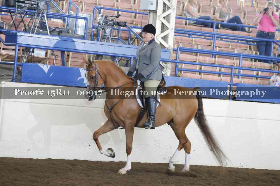 Proof 15R11_00917