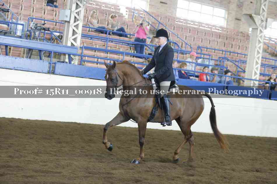 Proof 15R11_00918
