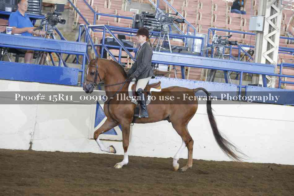 Proof 15R11_00919
