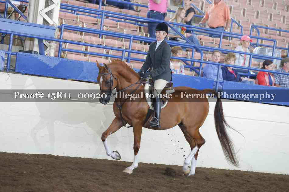 Proof 15R11_00920