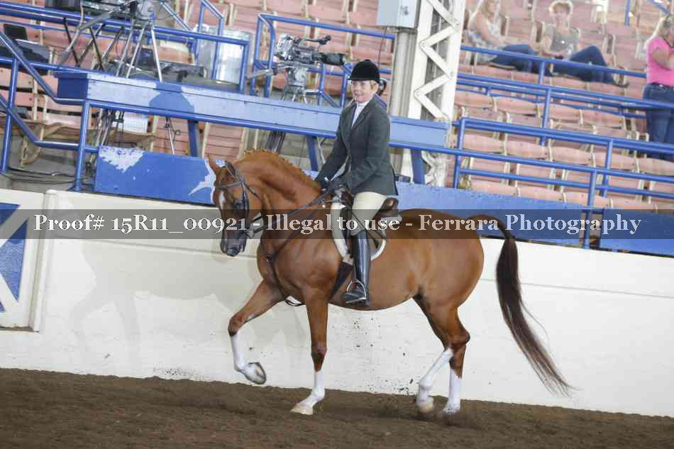 Proof 15R11_00921