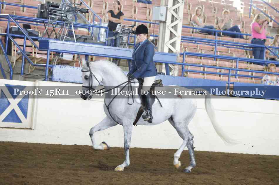 Proof 15R11_00923