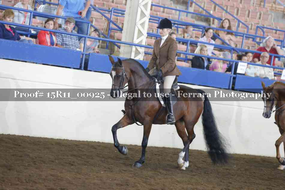 Proof 15R11_00925