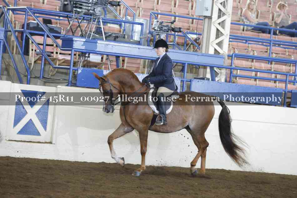 Proof 15R11_00927