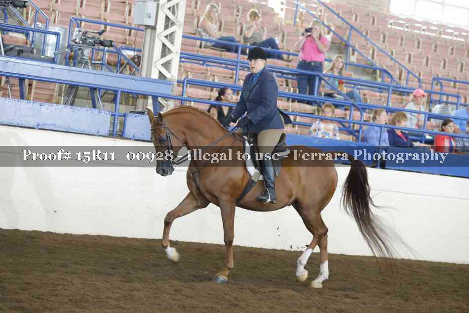 Proof 15R11_00928