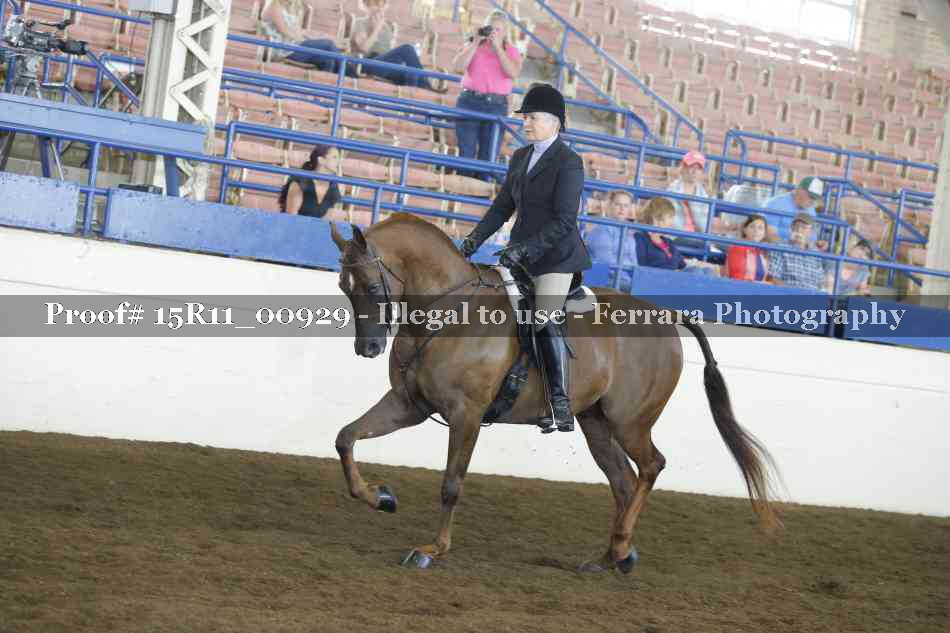 Proof 15R11_00929