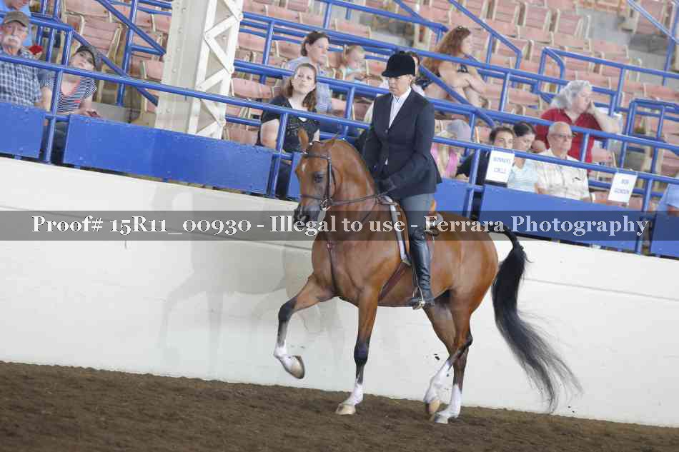 Proof 15R11_00930