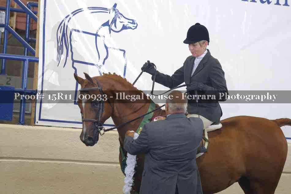 Proof 15R11_00933