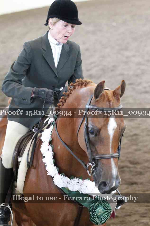 Proof 15R11_00934
