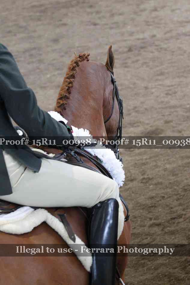 Proof 15R11_00938