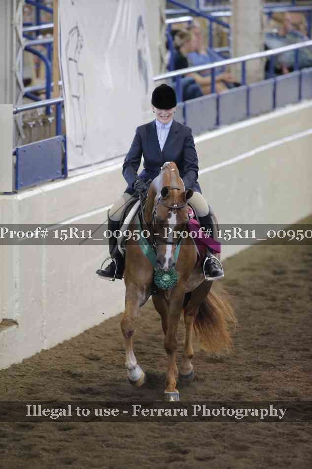 Proof 15R11_00950