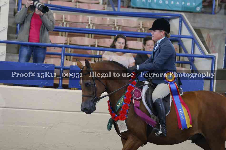 Proof 15R11_00951