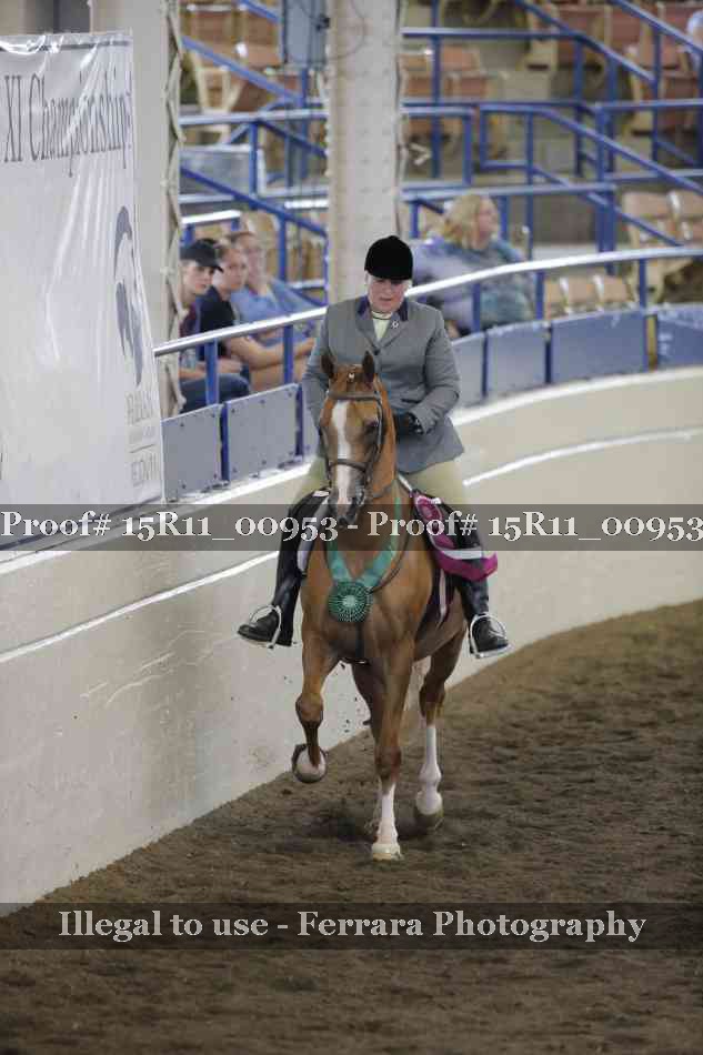 Proof 15R11_00953