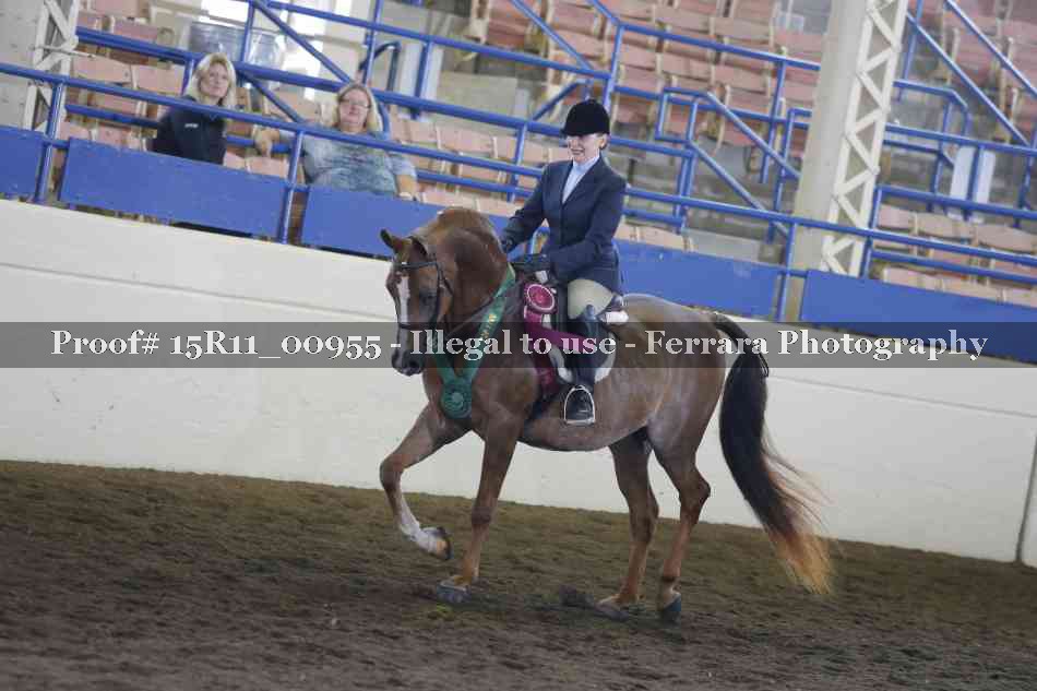 Proof 15R11_00955