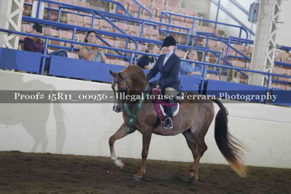 Proof 15R11_00956