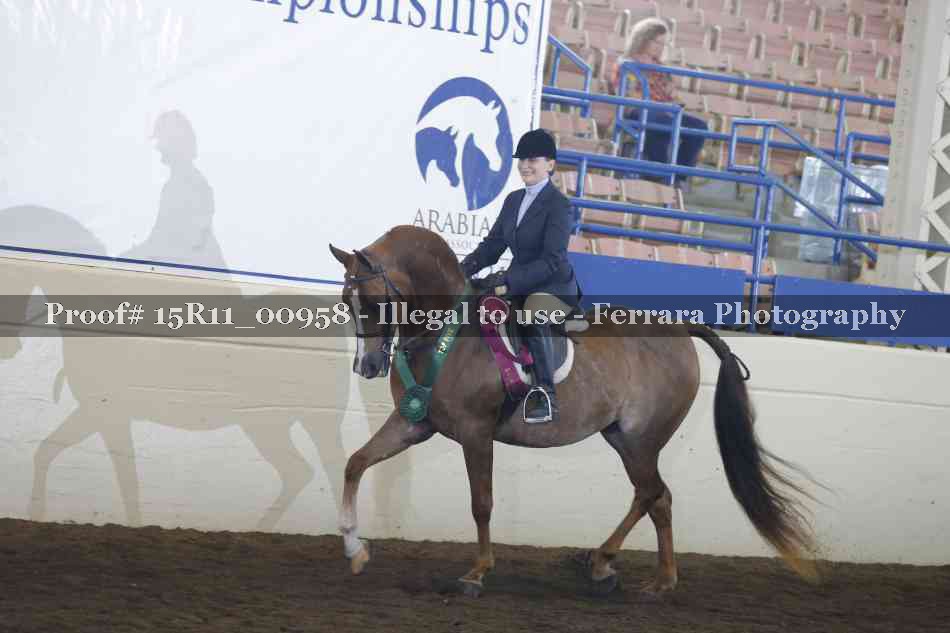 Proof 15R11_00958