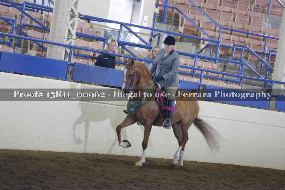 Proof 15R11_00962