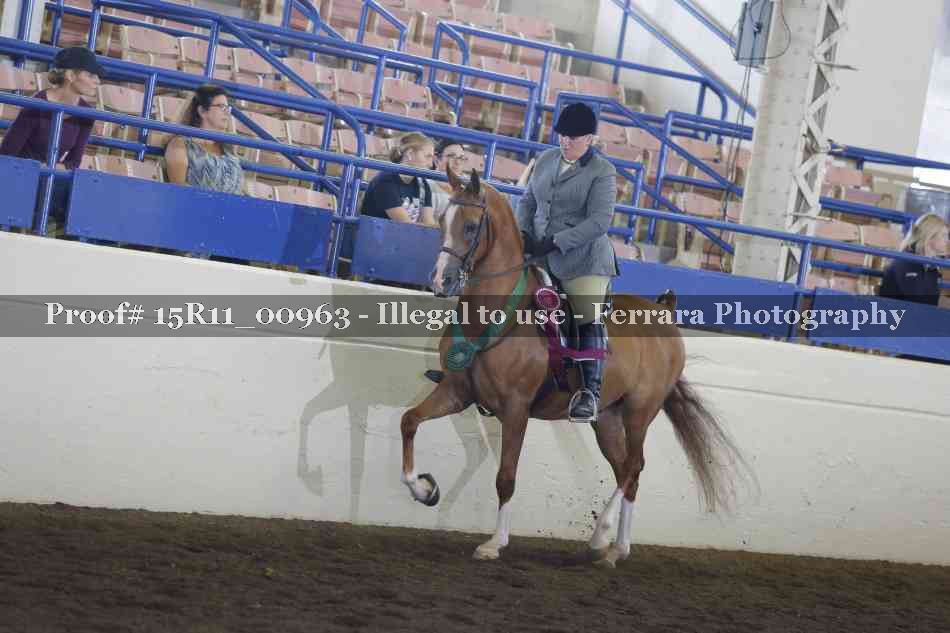 Proof 15R11_00963