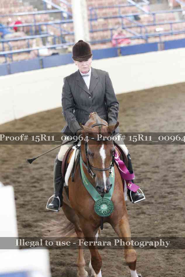 Proof 15R11_00964