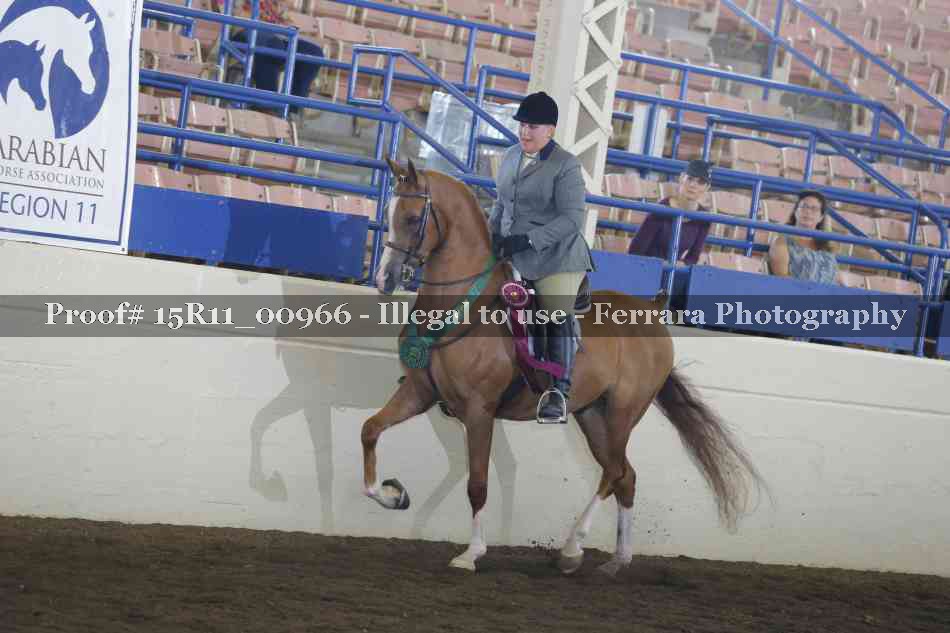 Proof 15R11_00966