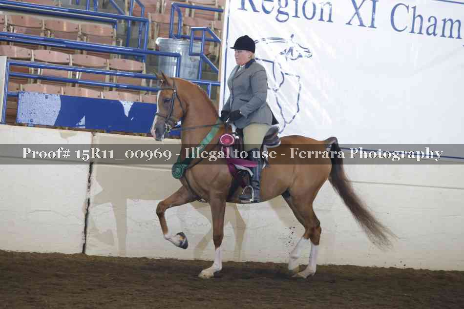 Proof 15R11_00969