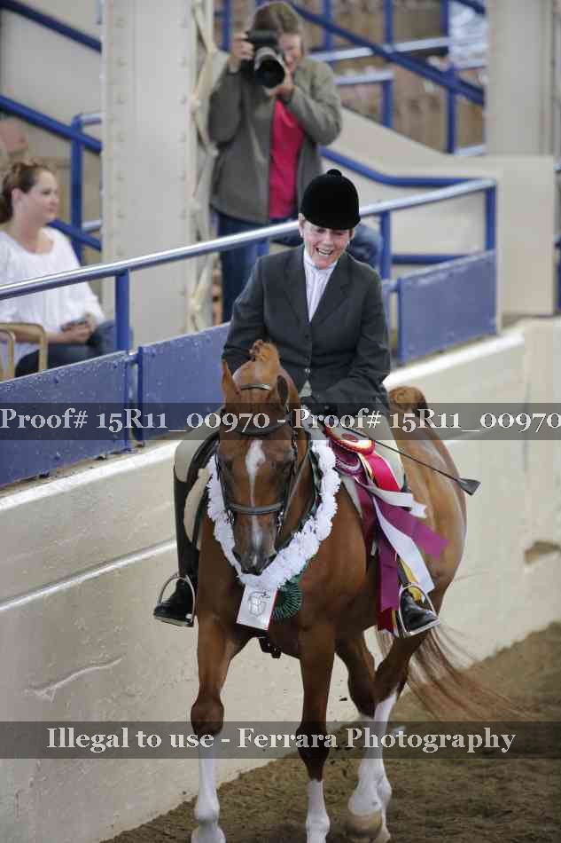 Proof 15R11_00970