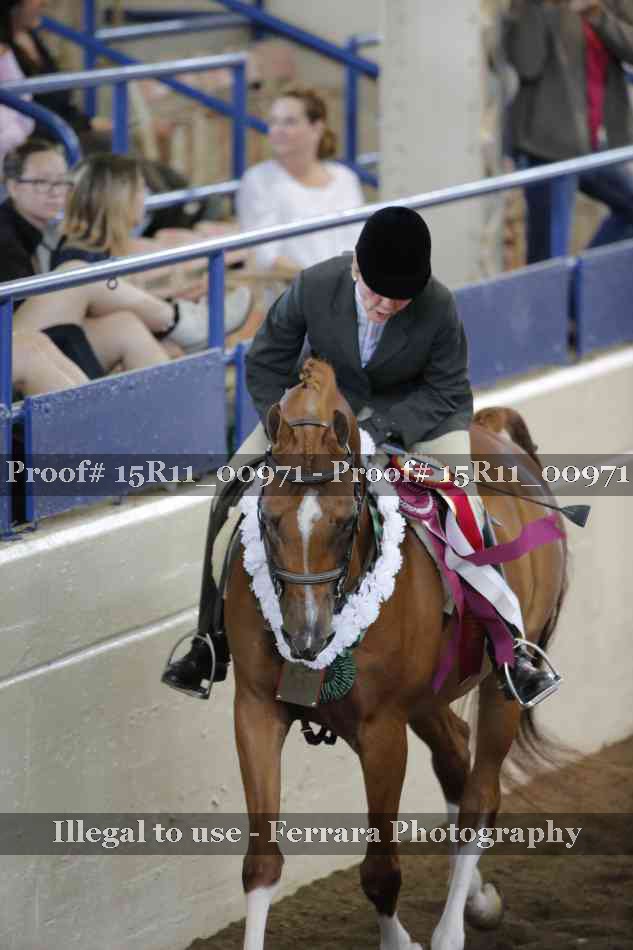 Proof 15R11_00971