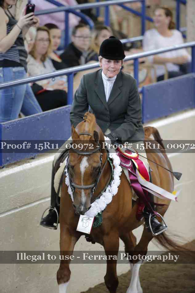 Proof 15R11_00972