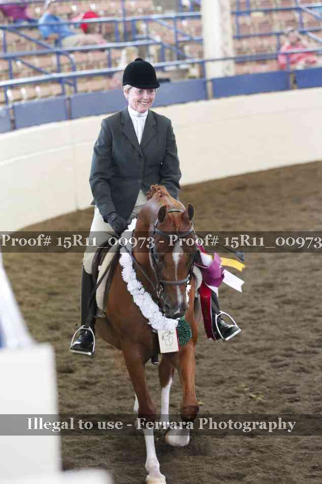 Proof 15R11_00973