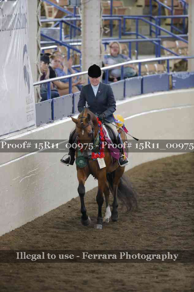Proof 15R11_00975