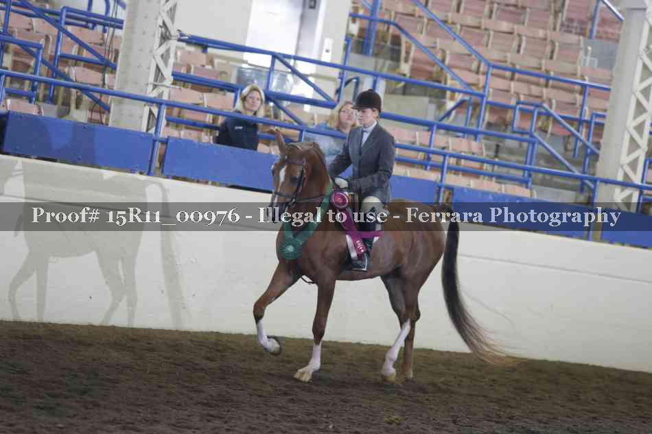 Proof 15R11_00976