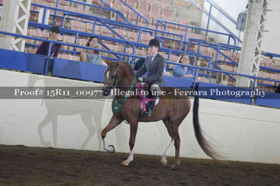 Proof 15R11_00977