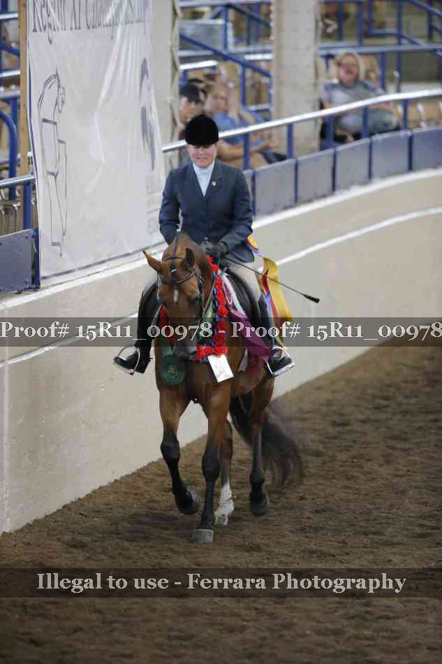 Proof 15R11_00978