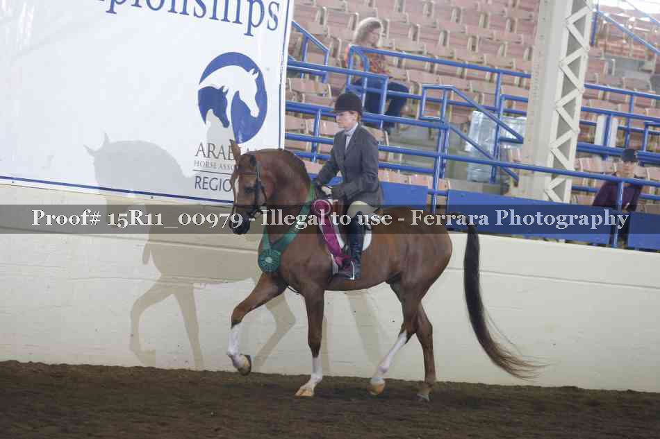Proof 15R11_00979