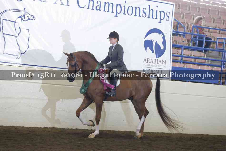 Proof 15R11_00981