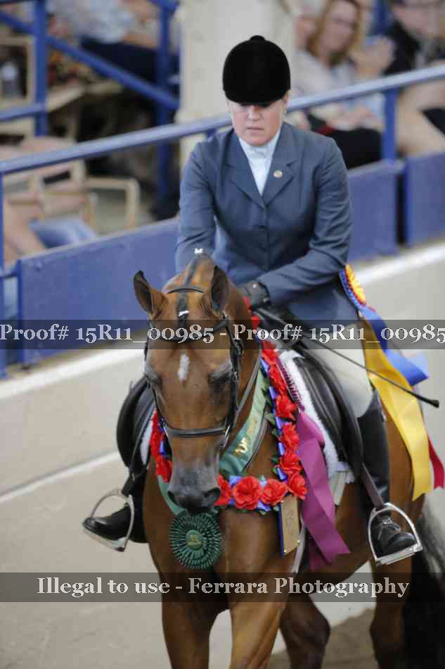 Proof 15R11_00985