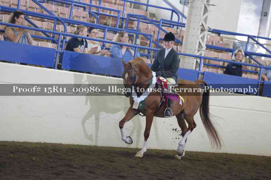 Proof 15R11_00986